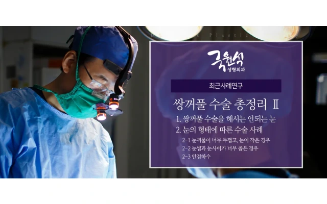 쌍꺼풀수술 총정리 2편 (쌍꺼풀 수술 해서는 안되는 눈/눈의 형태에 따른 수술사례)