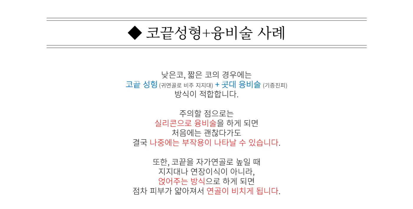 첫 코 성형 - 리숨
