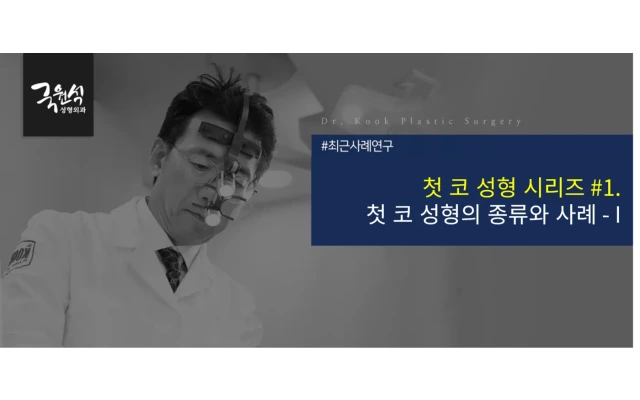 [첫 코 성형 사례연구 시리즈 #1] 첫 코 성형의 종류와 사례 ①